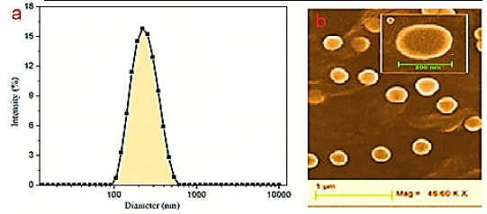 Figure 1: Size distribution graph for resveratrol – loaded Nano capsules (RV-NC) obtained by (a) DLS and (B) SEM photomicrographs.