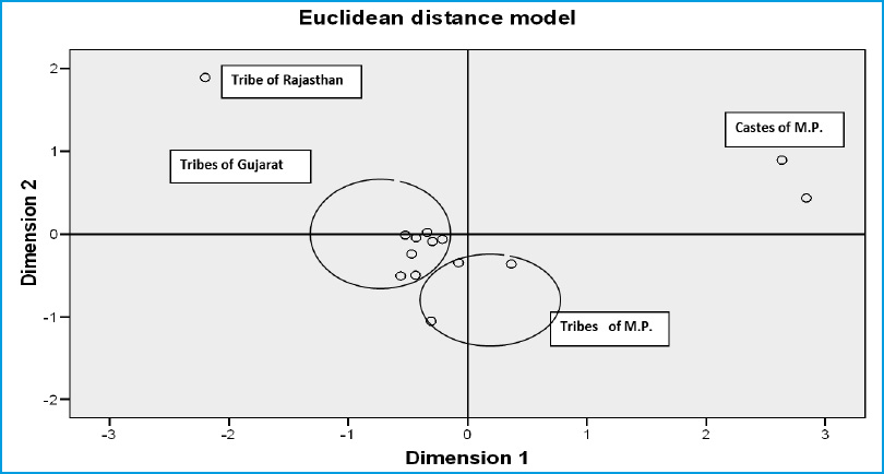 Figure 2: Growth inhibition of Fusarium sp. by endophytic bacteria