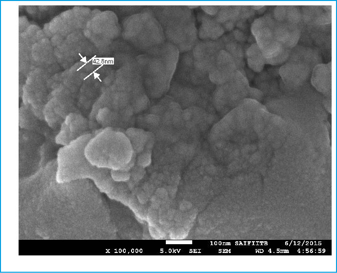 FEG-SEM image of ZnO/SiO2 palash flower extract nanocatalyst. No. of particles Diameter