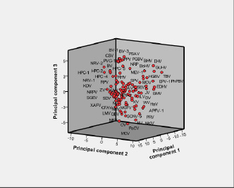 Principal component analysis (PCA) plot for analysis of the relative synonymous codon usage (RSCU) indices of 114 RNA viruses. The PCA scores of the 114 viruses were plotted in a three-dimensional coordinate system using the ﬁrst three principal component vectors as axes.