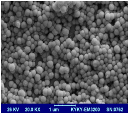 SEM image of Zatariamultifloraessential oil loaded liposomes by sonication (right image) and extrusion (left image) method