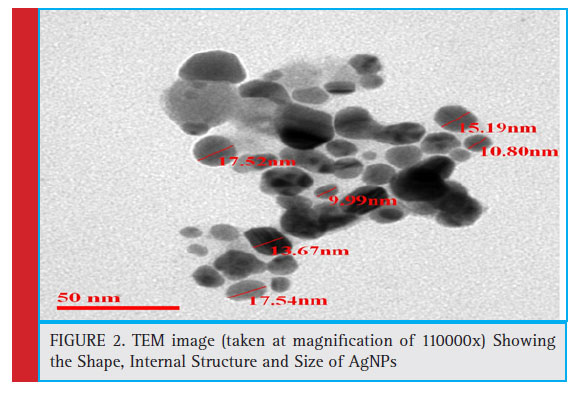 TEM image (taken at magnifi cation of 110000x) Showing the Shape, Internal Structure and Size of AgNPs