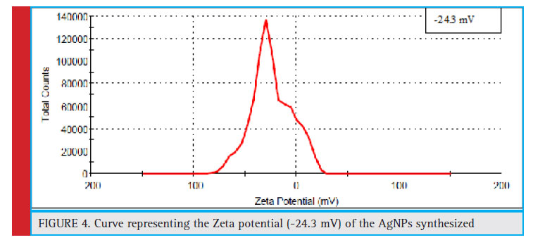 Curve representing the Zeta potential (-24.3 mV) of the AgNPs synthesized