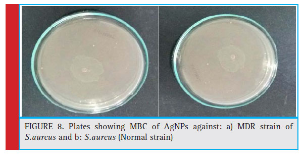 Figure 8: Plates showing MBC of AgNPs against: a) MDR strain of S.aureus and b: S.aureus (Normal strain)