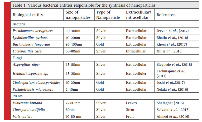 Various bacterial entities responsible for the synthesis of nanoparticles
