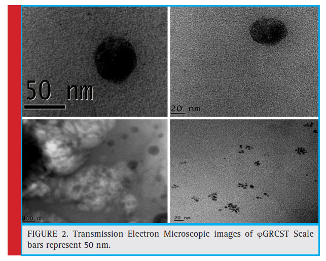 Transmission Electron Microscopic images of GRCST Scale bars represent 50 nm.