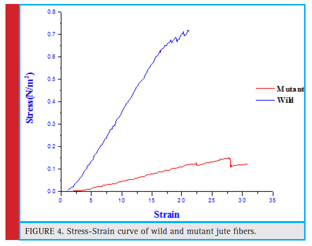 Stress-Strain curve of wild and mutant jute fi bers.