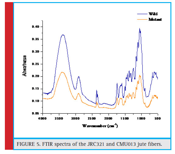 FTIR spectra of the JRC321 and CMU013 jute fi bers