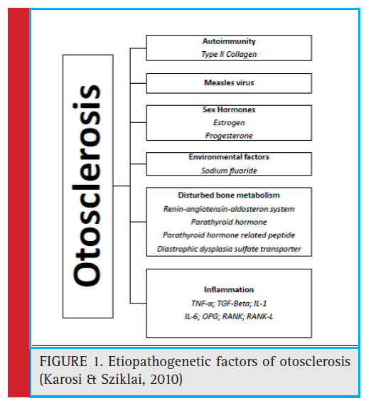 Etiopathogenetic factors of otosclerosis (Karosi & Sziklai, 2010)