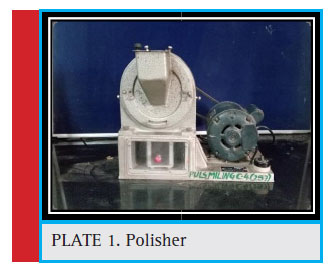 Plate 1: Polisher