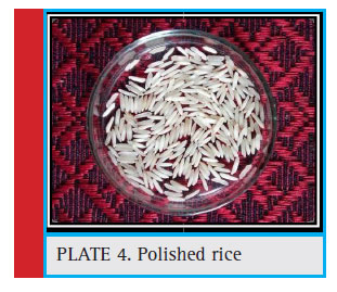 Plate 4: Polished rice