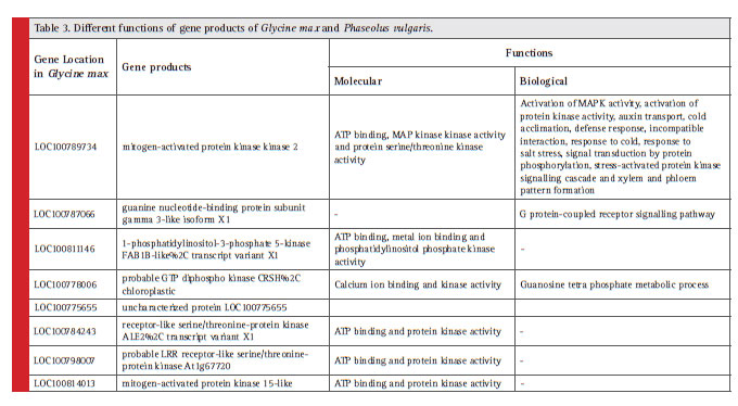 Different functions of gene products of Glycine max and Phaseolus vulgaris.