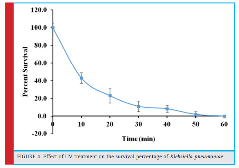 Effect of UV treatment on the survival percentage of Klebsiella pneumoniae