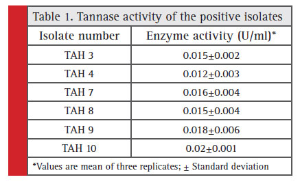 Table 1. Tannase activity of the positive isolates