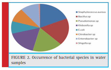 Occurrence of bacterial species in water samples