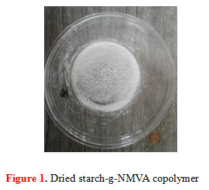 Figure 1. Dried starch-g-NMVA copolymer