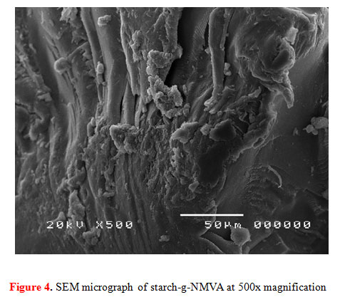 Figure 4. SEM micrograph of starch-g-NMVA at 500x magnification