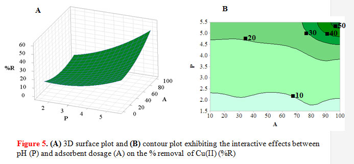 Figure 5. (A) 3D surface plot and (B) contour plot exhibiting the interactive effects between pH (P) and adsorbent dosage (A) on the % removal of Cu(II) (%R)