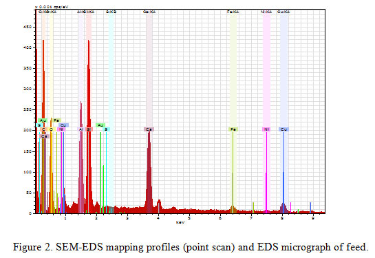 Figure 2. SEM-EDS mapping profiles (point scan) and EDS micrograph of feed.