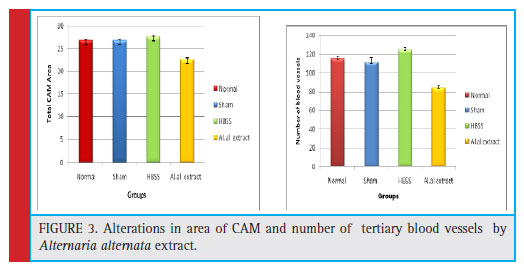 Alterations in area of CAM and number of tertiary blood vessels by Alternaria alternata extract.