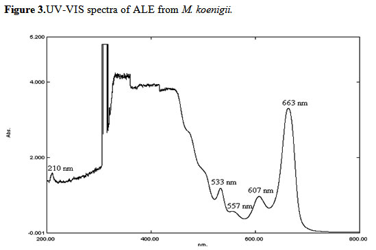 Figure 3.UV-VIS spectra of ALE from M. koenigii.