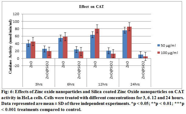 Fig: 6: Effects of Zinc oxide nanoparticles and Silica coated Zinc Oxide nanoparticles on CAT activity in HeLa cells. Cells were treated with different concentrations for 3, 6. 12 and 24 hours. Data represented are mean ± SD of three independent experiments. *p < 0.05; **p < 0.01; ***p < 0.001 treatments compared to control.