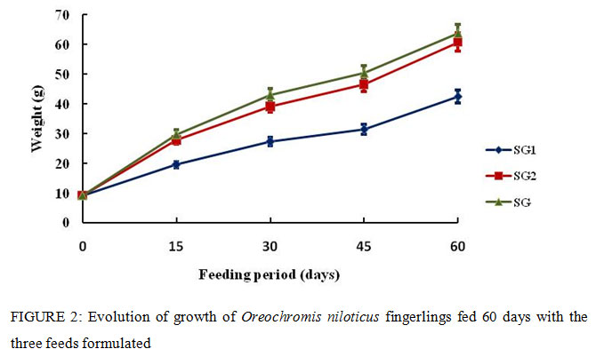 Figure 1: Evolution of growth of Oreochromis niloticus fingerlings fed 60 days with the three feeds formulated