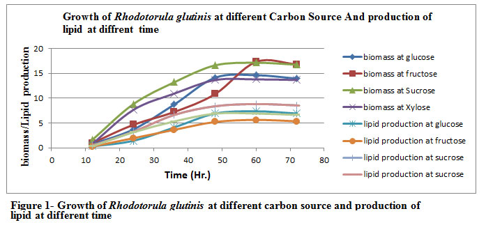 Figure 1: Figure 1- Growth of Rhodotorula glutinis at different carbon source and production of lipid at different time