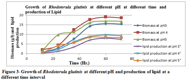  Figure 3- Growth of Rhodotorula glutinis at different pH and production of lipid at a different time interval