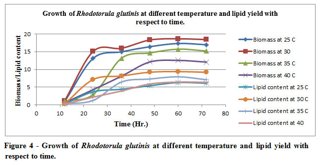 Figure 4 - Growth of Rhodotorula glutinis at different temperature and lipid yield with respect to time.