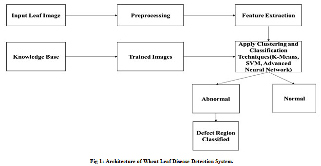 Architecture of Wheat Leaf Disease Detection System.