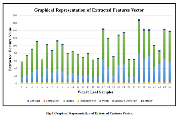 Graphical Representation of Extracted Features Vector.