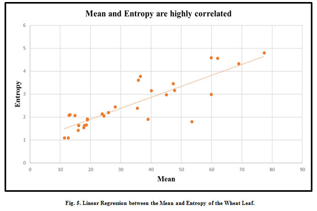 Figure 5: Linear Regression between the Mean and Entropy of the Wheat Leaf.