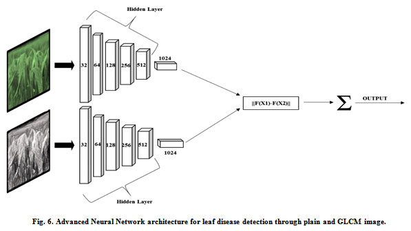 Figure 6: Advanced Neural Network architecture for leaf disease detection through plain and GLCM image.