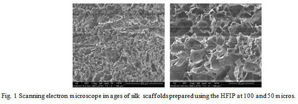 Scanning electron microscope images of silk scaffolds prepared using the HFIP at 100 and 50 micros.