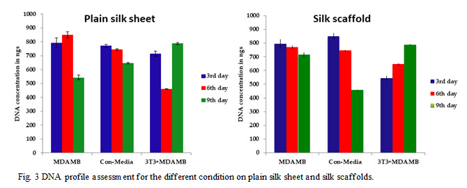 Figure 3: DNA profile assessment for the different condition on plain silk sheet and silk scaffolds.