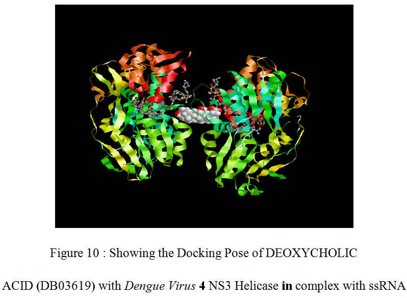 Figure 10 : Showing the Docking Pose of DEOXYCHOLIC ACID (DB03619) with Dengue Virus 4 NS3 Helicase in complex with ssRNA
