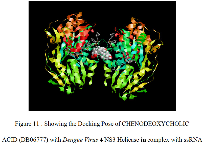 Figure 11 : Showing the Docking Pose of CHENODEOXYCHOLIC ACID (DB06777) with Dengue Virus 4 NS3 Helicase in complex with ssRNA
