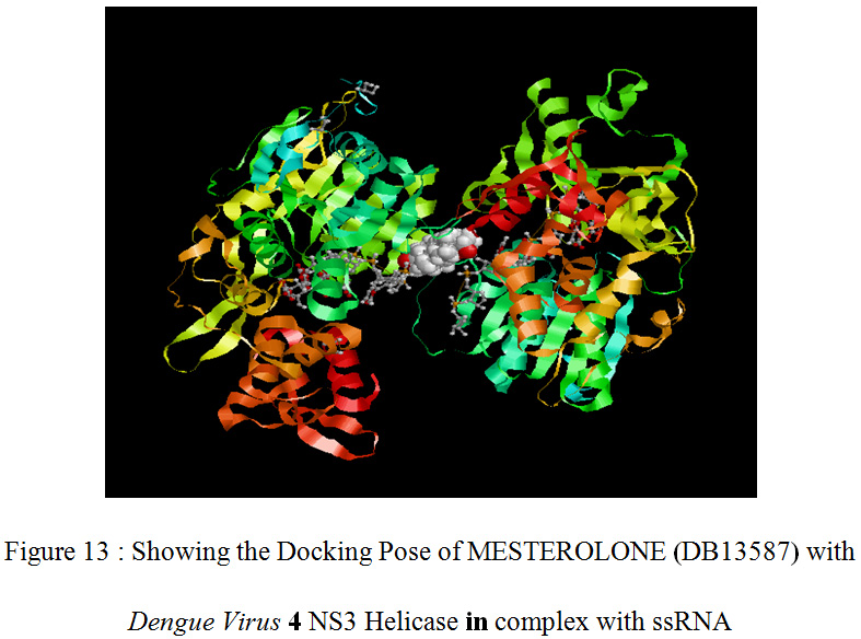 Figure 13 : Showing the Docking Pose of MESTEROLONE (DB13587) with Dengue Virus 4 NS3 Helicase in complex with ssRNA