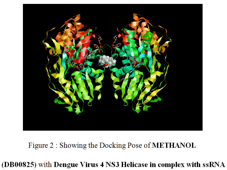 Figure 2 : Showing the Docking Pose of METHANOL (DB00825) with Dengue Virus 4 NS3 Helicase in complex with ssRNA