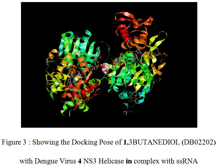 Figure 3 : Showing the Docking Pose of 1,3BUTANEDIOL (DB02202) with Dengue Virus 4 NS3 Helicase in complex with ssRNA