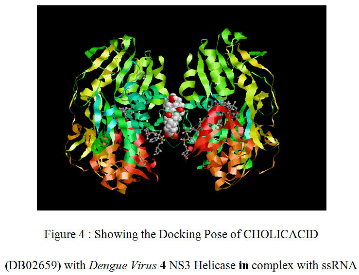 Figure 4 : Showing the Docking Pose of CHOLICACID (DB02659) with Dengue Virus 4 NS3 Helicase in complex with ssRNA