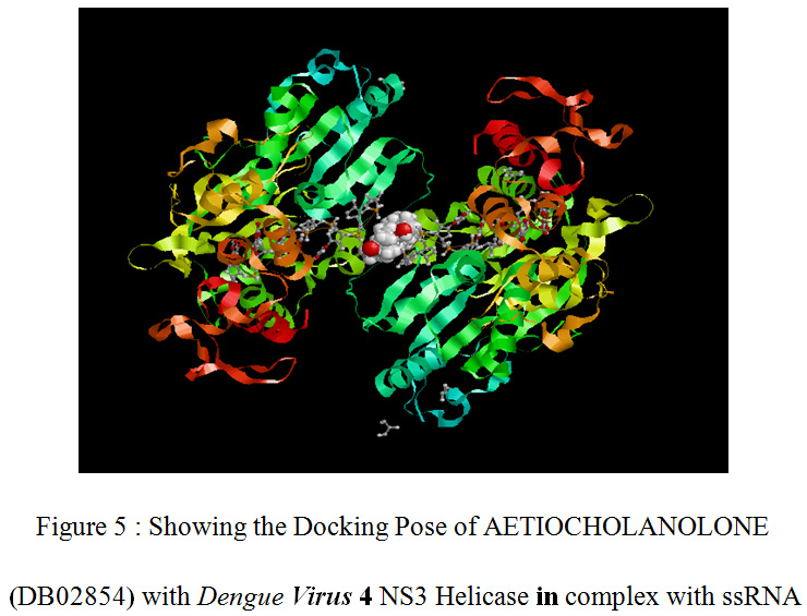 Figure 5 : Showing the Docking Pose of AETIOCHOLANOLONE (DB02854) with Dengue Virus 4 NS3 Helicase in complex with ssRNA