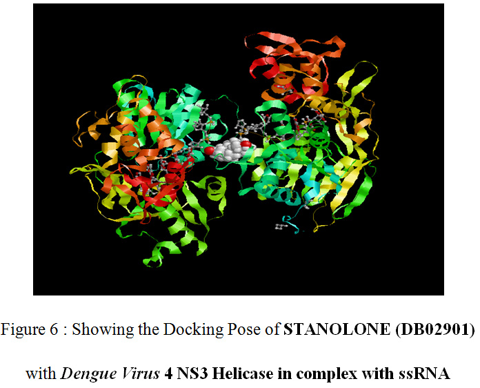 Figure 6 : Showing the Docking Pose of STANOLONE (DB02901) with Dengue Virus 4 NS3 Helicase in complex with ssRNA