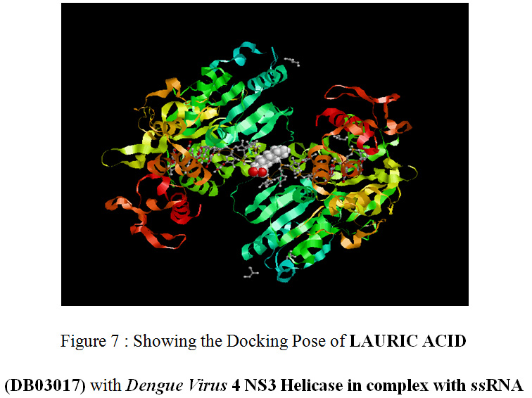 Figure 7 : Showing the Docking Pose of LAURIC ACID (DB03017) with Dengue Virus 4 NS3 Helicase in complex with ssRNA