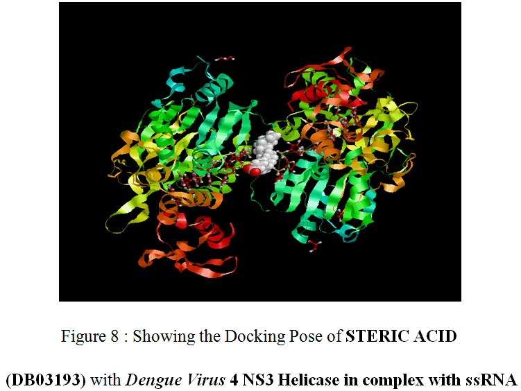 Figure 8 : Showing the Docking Pose of STERIC ACID (DB03193) with Dengue Virus 4 NS3 Helicase in complex with ssRNA