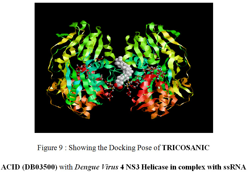 Figure 9 : Showing the Docking Pose of TRICOSANIC ACID (DB03500) with Dengue Virus 4 NS3 Helicase in complex with ssRNA