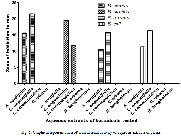 Figure 1: Graphical representation of antibacterial activity of aqueous extracts of plants