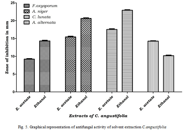 Figure 5: Graphical representation of antifungal activity of solvent extraction C.angustifolia