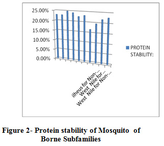 Protein stability of Mosquito of Borne Subfamilies